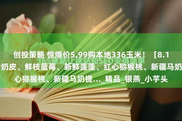 创投策略 惊爆价5.99购本地336玉米！【8.12周二提货】梭子蟹、烤奶皮、鲜枝蓝莓、新鲜莲蓬、红心猕猴桃、新疆马奶提..._精品_银燕_小芋头