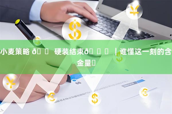 小麦策略 🏠硬装结束🔚｜谁懂这一刻的含金量✨
