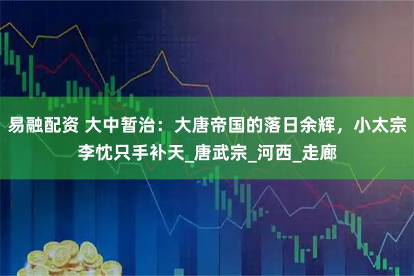 易融配资 大中暂治：大唐帝国的落日余辉，小太宗李忱只手补天_唐武宗_河西_走廊