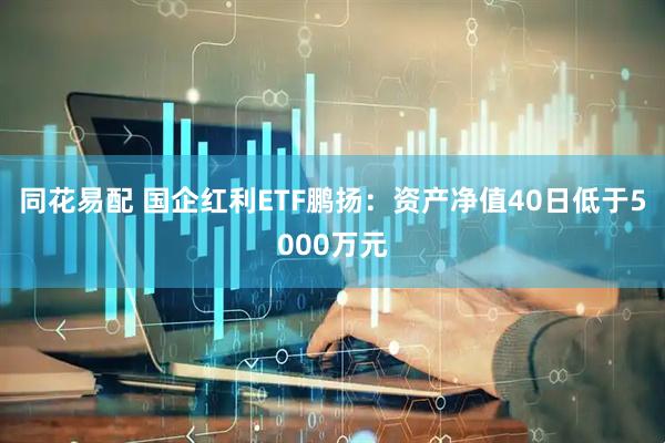 同花易配 国企红利ETF鹏扬：资产净值40日低于5000万元
